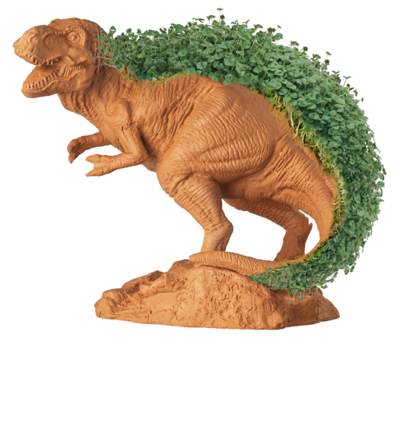 T-REX Chia Pet