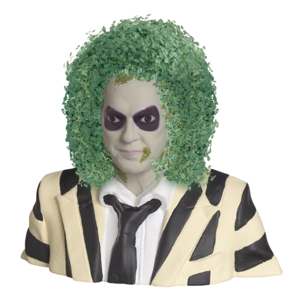 Beetlejuice Chia Pet